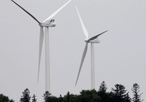 We provide you everything...