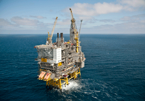 We provide you everything...